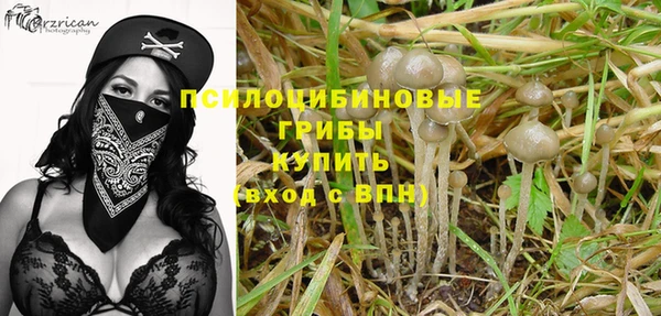 ECSTASY Баксан